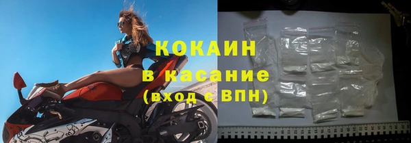 2c-b Инсар