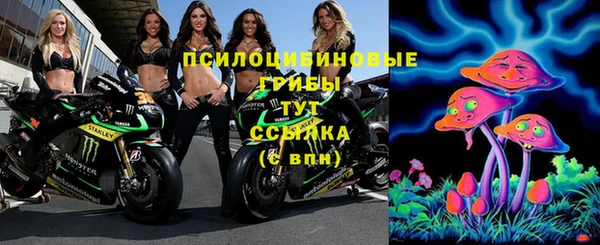 ешки Каменногорск