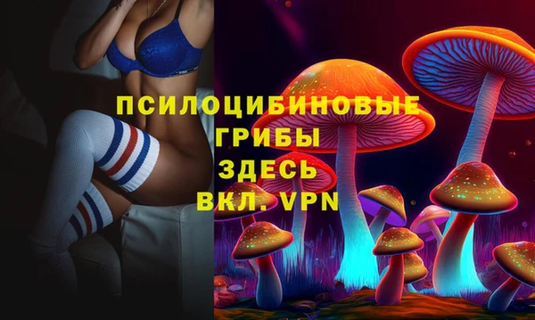 метамфетамин Каменка