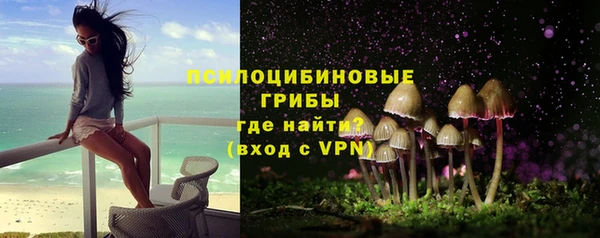 гашик Каменск-Шахтинский