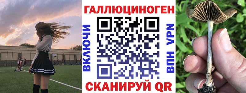 Купить  Светлый  Псилоцибиновые грибы Cubensis 